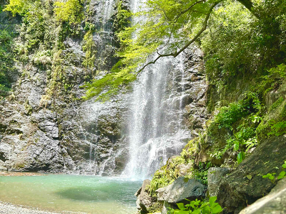 大阪府箕面の大滝